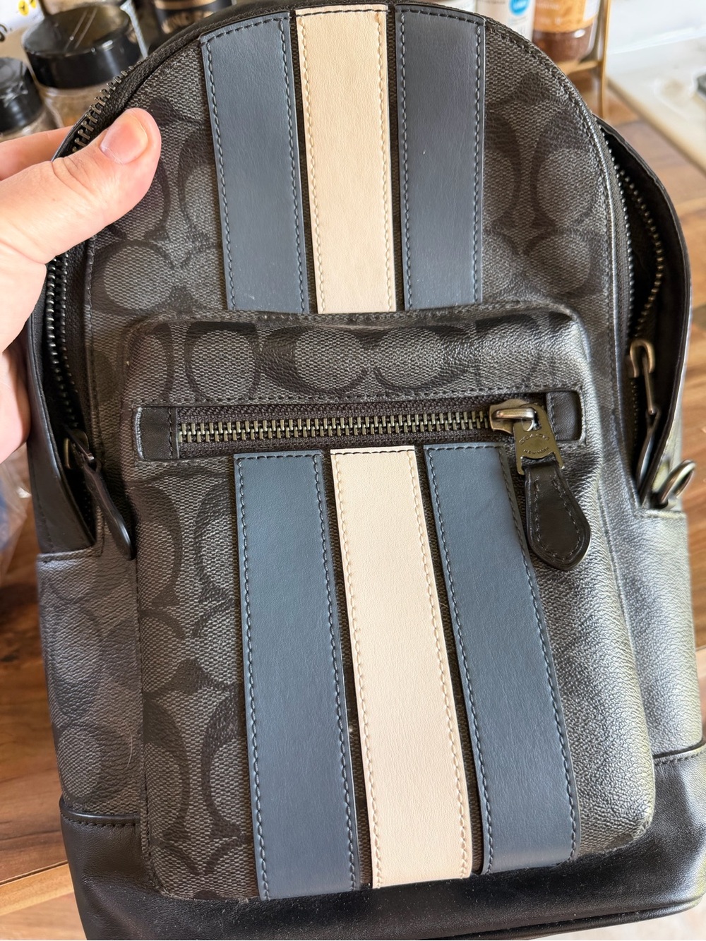 Coach Men's Black and Blue Striped Mini Backpack